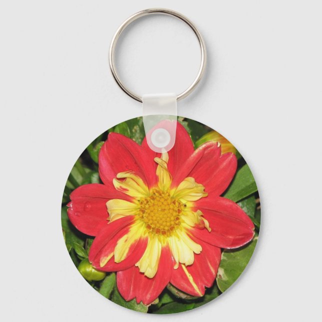 Dahlia Scarlet Schlüsselanhänger (Vorderseite)