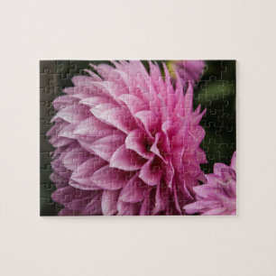 Dahlia Spring Blume Puzzle
