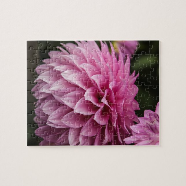 Dahlia Spring Blume Puzzle (Horizontal)