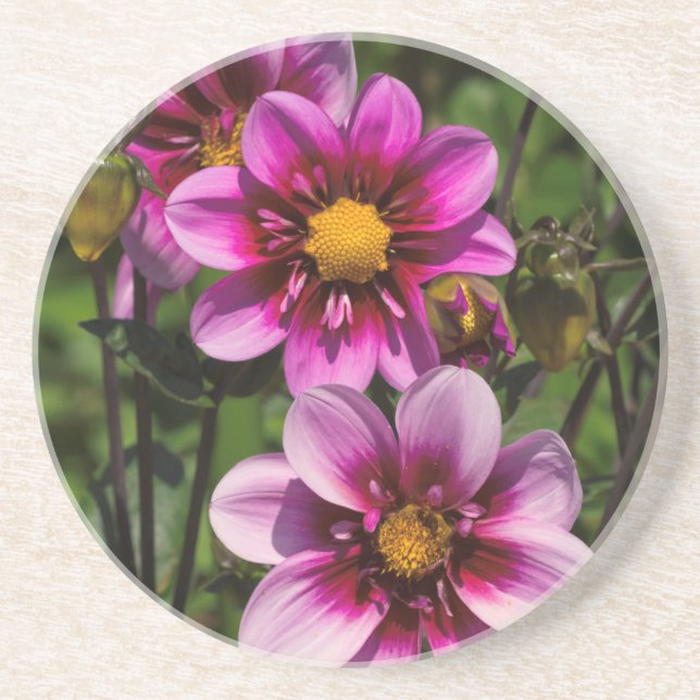 Dahlia Trio Untersetzer (Vorne)