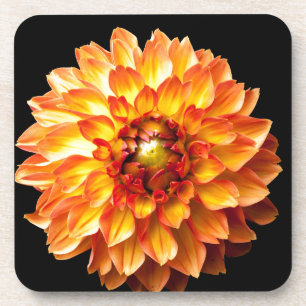 Dahlia Untersetzer