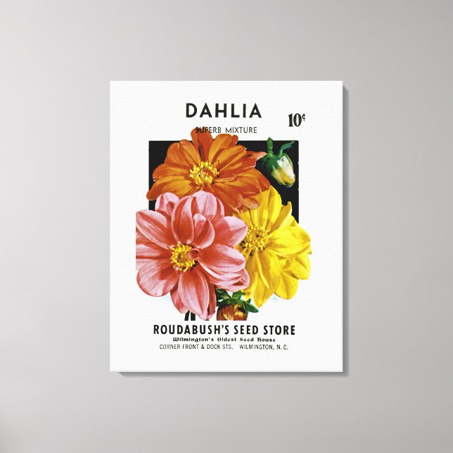 Dahlia Vintag Seed Packet Leinwanddruck (Vorderseite)