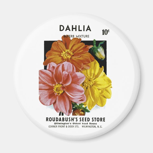 Dahlia Vintag Seed Packet Magnet (Vorne)