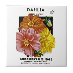 Dahlia-Vintage-Samenpaket Fliese