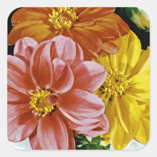 Dahlia-Vintage-Samenpaket Quadratischer Aufkleber