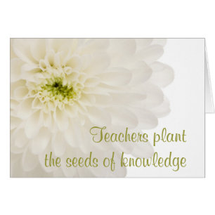 Dahlia White Blume Teacher