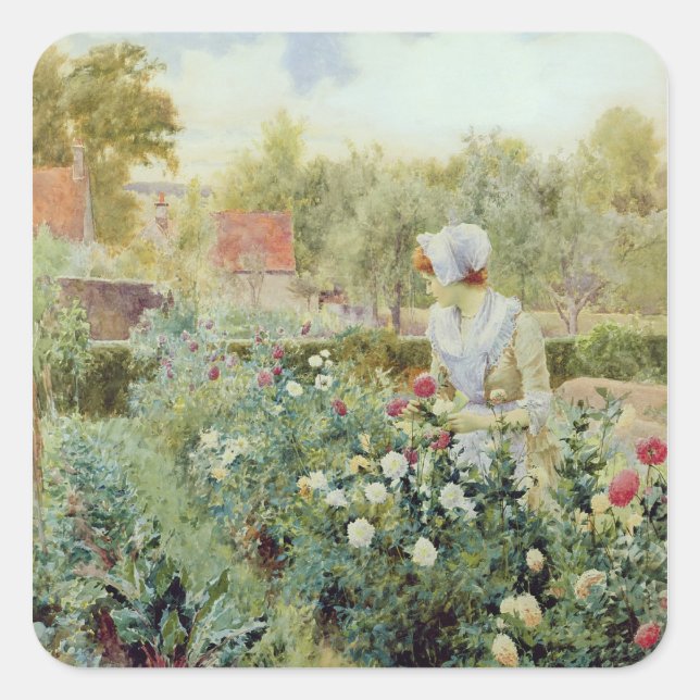 Dahlias, 1896 quadratischer aufkleber (Vorderseite)