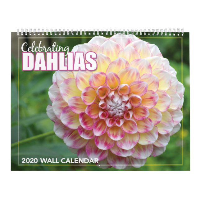 Dahlias 2020-Mauerkalender Kalender (Titelbild)