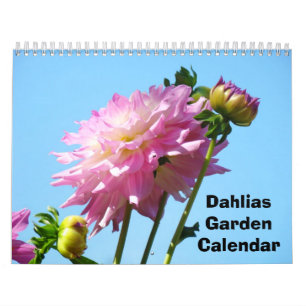 Dahlias Garden Calendar Blume Kalender