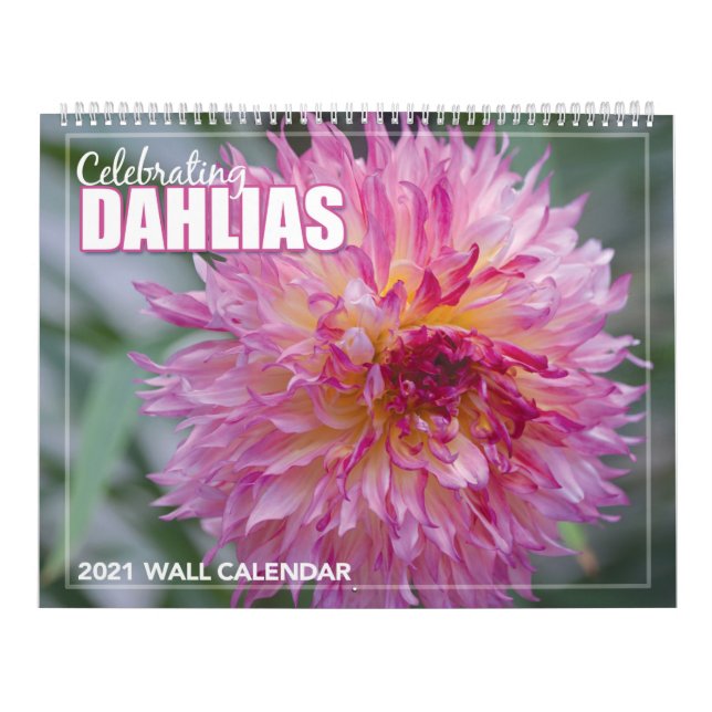 Dahlias-Mauer-Kalender 2021 Kalender (Titelbild)