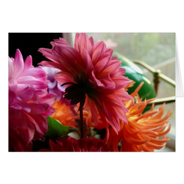 Dahlias (mit Lampe) (Vorderseite (Horizontal))