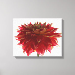 Dahlie-Blume digitale Malerei eingewickelte Leinwanddruck