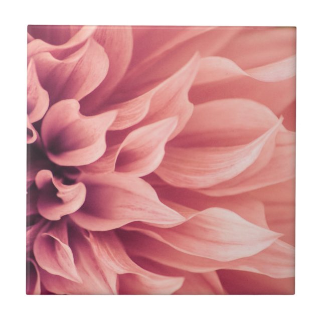 Dahlie-Blumen-Blüte Fliese (Vorderseite)