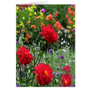 Dahlie-Blumen-Garten-Karte