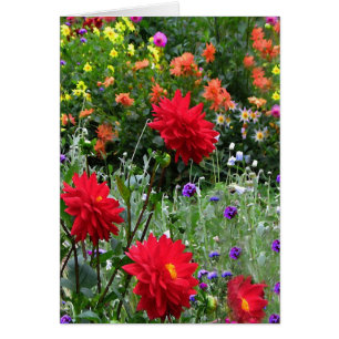 Dahlie-Garten-Blumen-Blumengruß-Karte