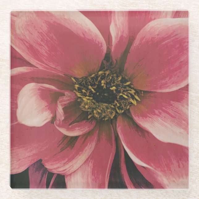 Dahlie Glasuntersetzer (Vorderseite)