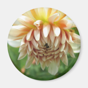 Dahlie Magnet
