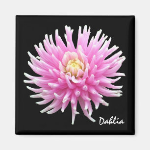 Dahlie-Magnet Magnet