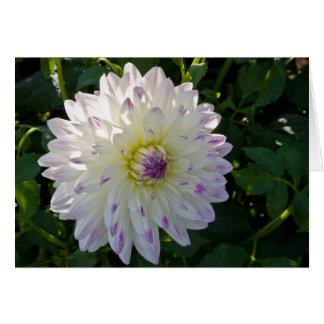 Dahlie, Margaret Ellen