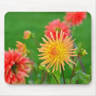 Dahlie Mousepad