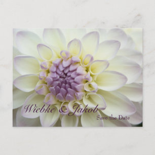 Dahlie • Save-the-Date-Postkarte Ankündigungspostkarte