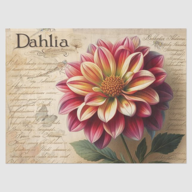 Dahlie Seidenpapier (Vorderseite)