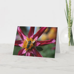 Dahlie-u. Bienen-leere Karte