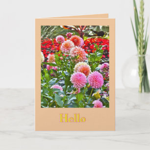 DAHLIEN GARTEN/ ROSA UND PFIRSICHFARBENE DAHLIEN/  KARTE