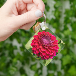 Dahlienblüte, leuchtend rote Blüte Schlüsselanhänger