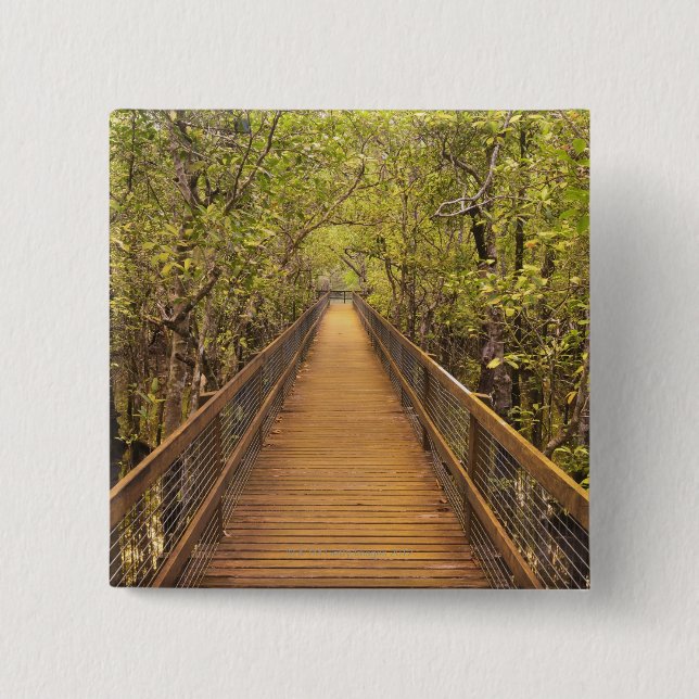 Daintree Nationalpark (UNESCO-Welterbe Button (Vorderseite)