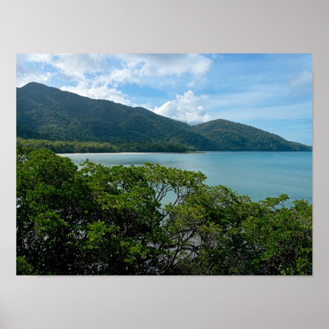 Daintree Rainforest in Cape Tribulation Poster (Vorne)