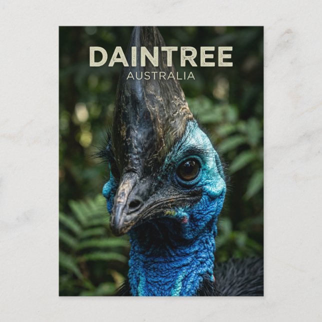 Daintree-Regenwald Australien Postkarte (Vorderseite)