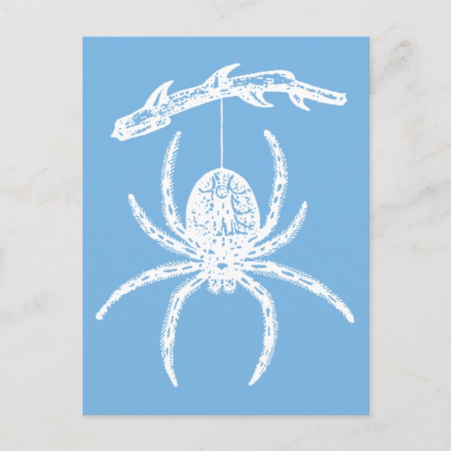 Dainty Blue Spider Postcard Postkarte (Vorderseite)