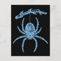 Dainty Blue Spider
