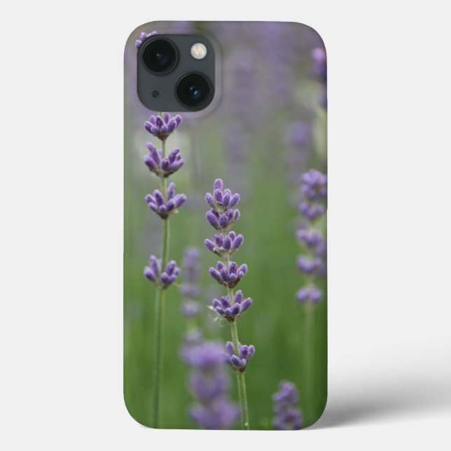 Dainty Lavender Barely There iPad Air Hüllen (Rückseite)