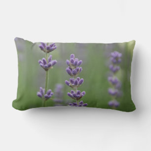 Dainty Lavender Lumbar Pillow Lendenkissen