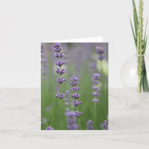 Dainty Lavender Note Card Karte