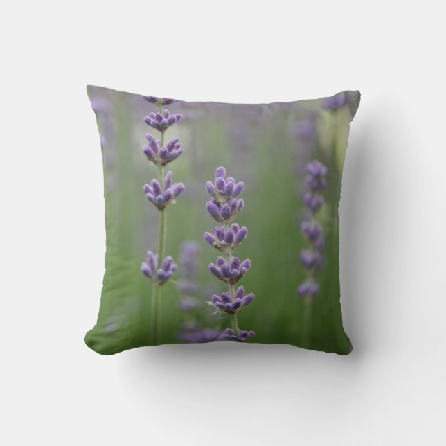 Dainty Lavender Throw Kissen (Vorderseite)