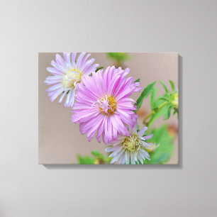 Dainty Pink Aster Blume Leinwand Drucken