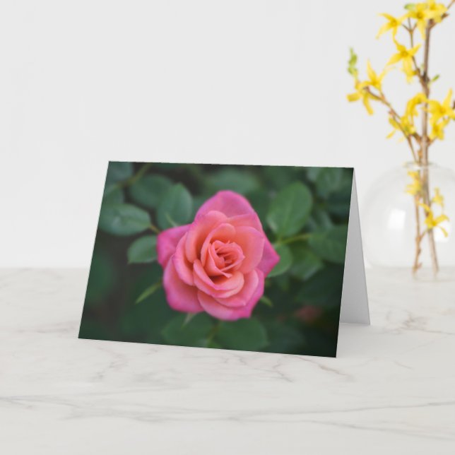 Dainty Pink Rose Note Card Karte (Gelbe Blume)