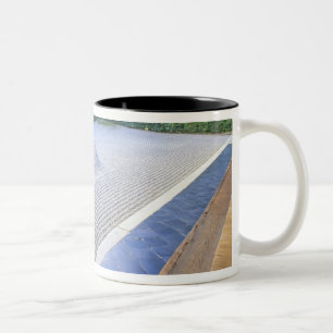 Daisen-in Temple Garden, Daitokuji, Kyoto, Japan Zweifarbige Tasse