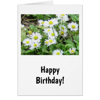 Daisies Birthday Card
