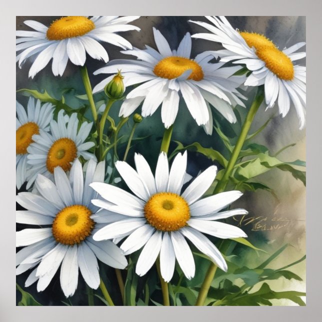 Daisies Bunch Blume Elegante Wasserfarbe Poster (Vorne)