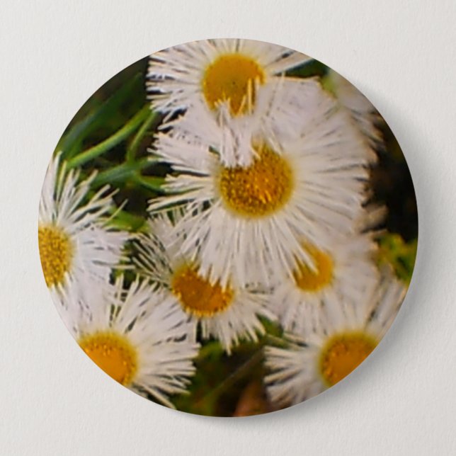 Daisies Button (Vorderseite)