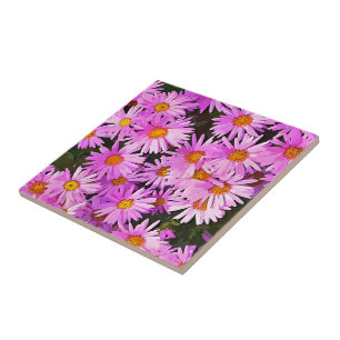 DAISIES FLIESE