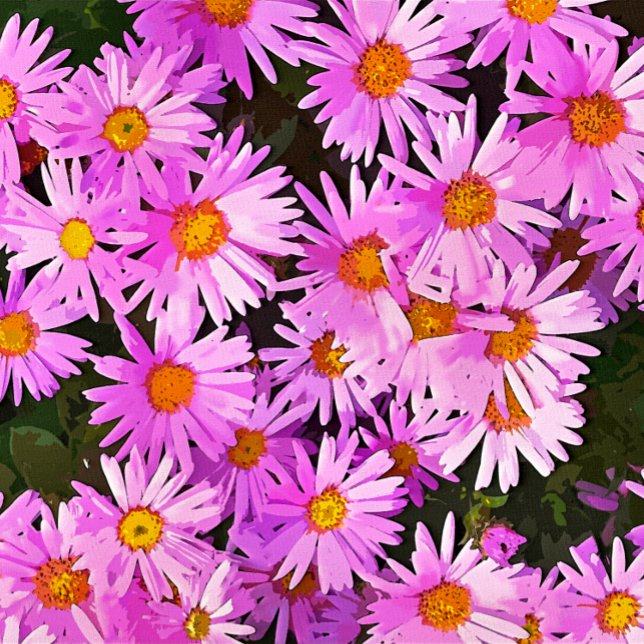 DAISIES FOTODRUCK (A watercolor of pretty pink daisies.)