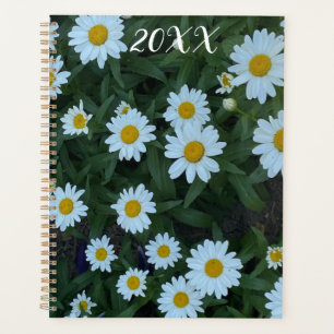 Daisies In A Garden Planer