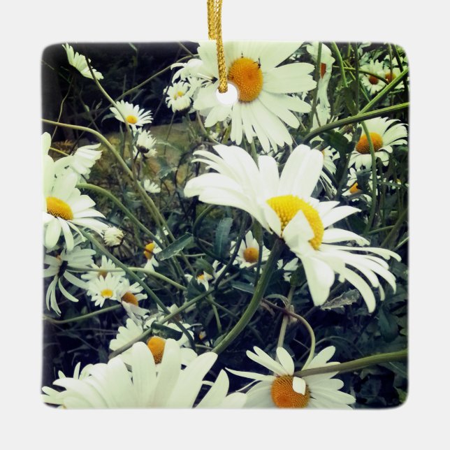 Daisies Keramikornament (Vorderseite)