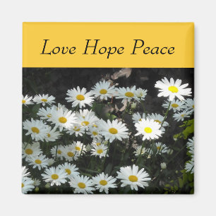 Daisies Magnet