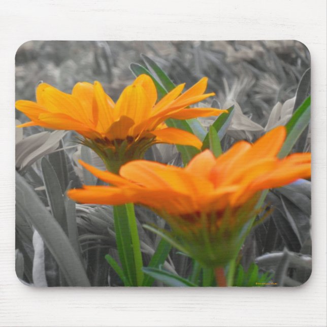 Daisies Mousepad (Vorne)